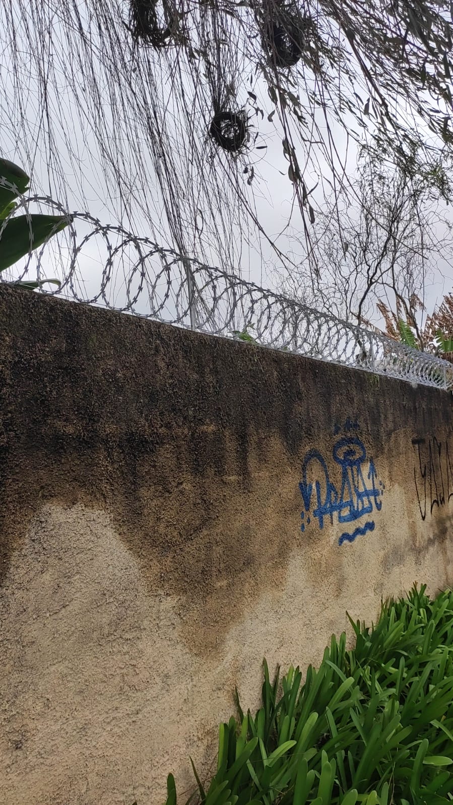 Instalação de Concertina - Serviço 12